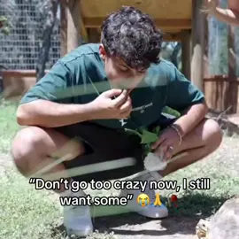 Bro started eating his food 😂 (Twitch - StableRonaldo) #fyp #stableronaldo #alveussanctuary 