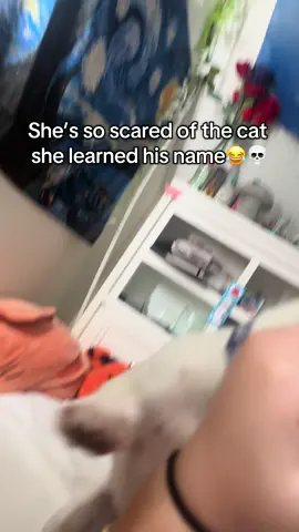 That’s one way to get her to listen 😭 #fyp #funny #fypdog #puppy #playing 