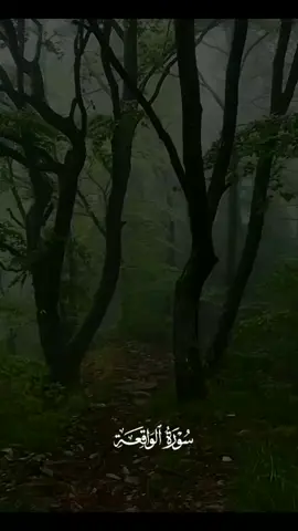 نحن خلقناكم فلولا تصدقون |القارئ سعود الفايز #اكتب_شيء_تؤجر_عليه🌿🕊 