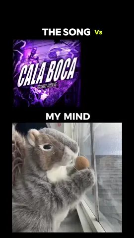 CALA BOCA (Slowed) vs My Mind 💀 #CALA BOCA #mymind #nibs #squirrel @nibsgonewild ….mov