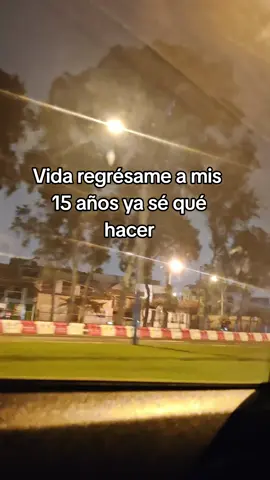 Vida regrésame a mis 15años ya sé qué hacer #fouryou #demiparami #vida #pyf #laviejaescuela 