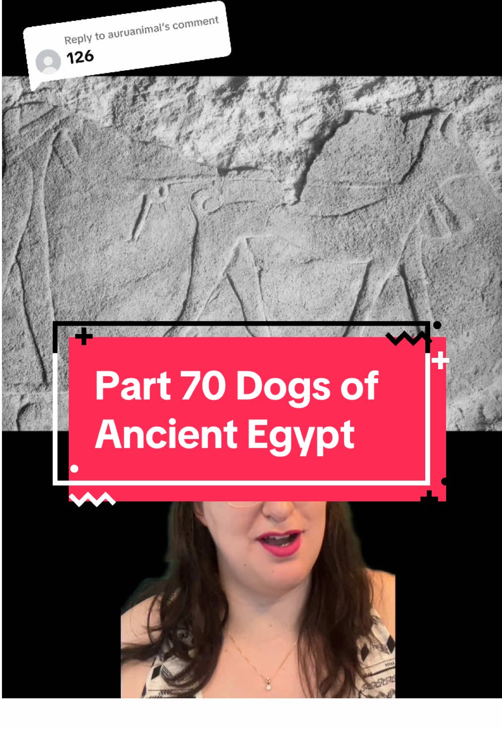 Replying to @auruanimal Such a cute and old Ancient Egyptian dog! #melissaindenile #egypt #egyptian #egyptology #ancientegypt #egyptologist #egyptologylovers #dogsofancientegypt #dog #doggo #egyptiandog #ancientegyptiandog #giza #Neferkhuwi 