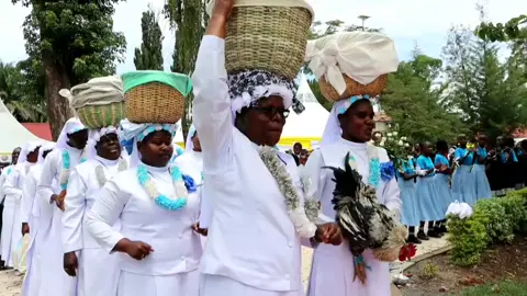 Sisters of Mary Kakamega Perpetual and Jubilee celebration  #religious #catholictiktok  #kakamegatiktokers #fyp  #nun 