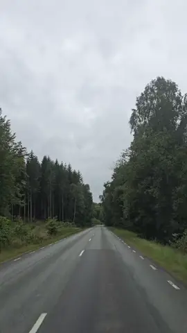 #🇸🇪sweden🇸🇪 