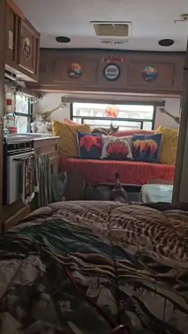 #goodmorning #chickens #farmlife #crazychickenlady  I'm just trying to hide out in my travel trailer while I have my one day off. 🙄These girls can't give me any privacy!!  I need to get some screen for my RV screen door! 🤣🤣🤣