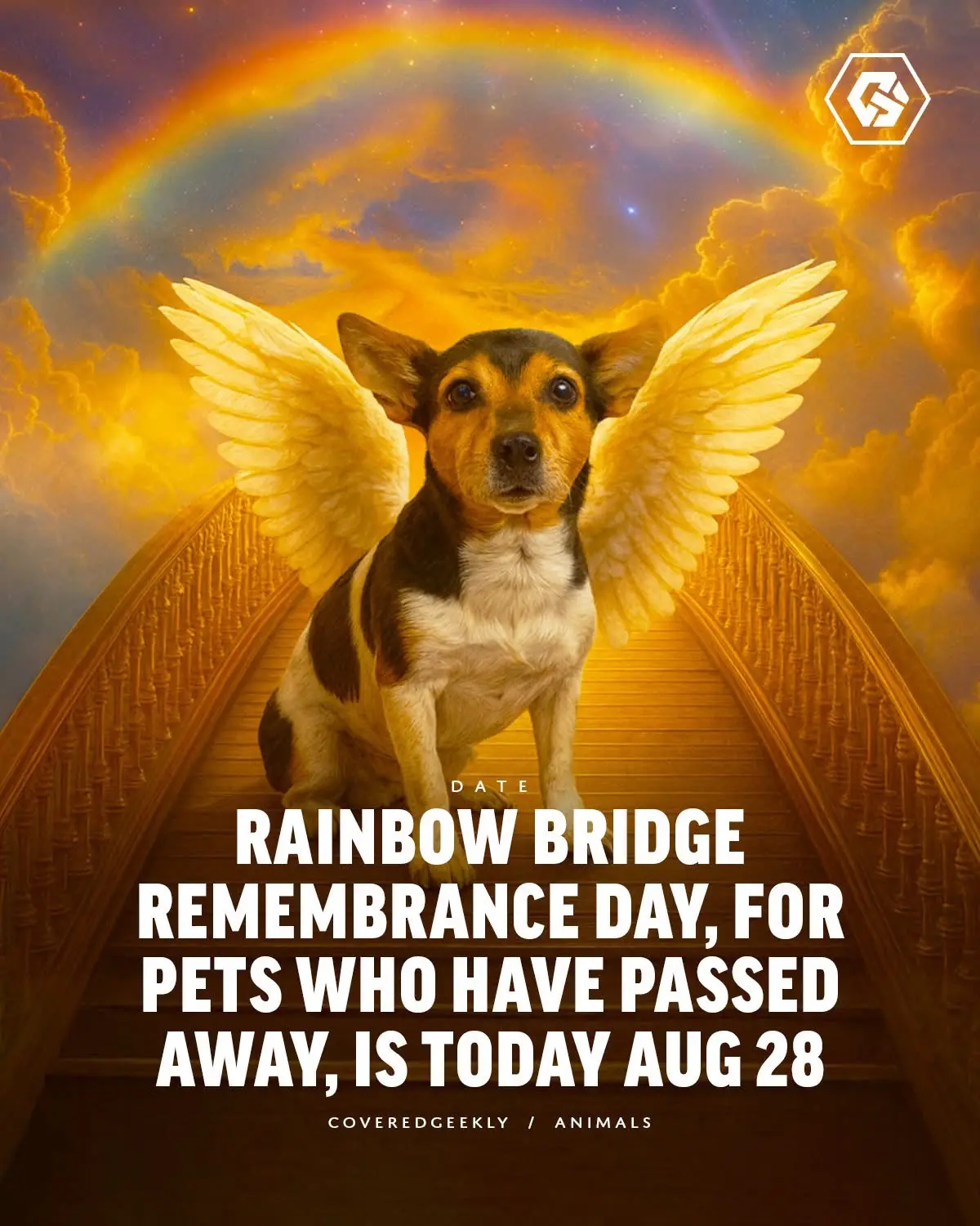 @Justin Matthews and I used to petsit for so many wonderful furbabies so I had to add a few of them in. We spent months at the houses of Luna, Django, Stella and Wifi. Tucker and Hunter were Justin’s aunt and cousins dogs who were so incredible also and of course our own babies ♥️  So many beautiful furbabies who I miss so dearly. Always in my heart.  Share your furbabies who are over the rainbow bridge and honor them with me 🌈