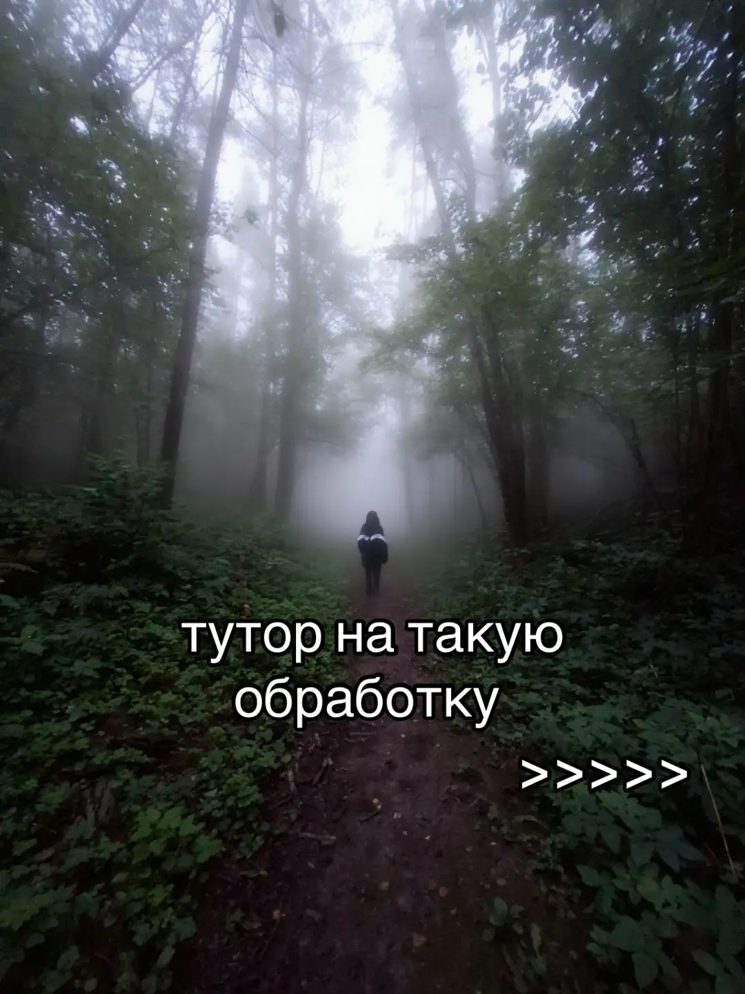 как-то так… надеюсь у меня получилось более понятно объяснить:_))) в использовании это достаточно простое приложение, думаю многие быстро привыкнут #фото#фотошоп#обработка#🐸#мяу 