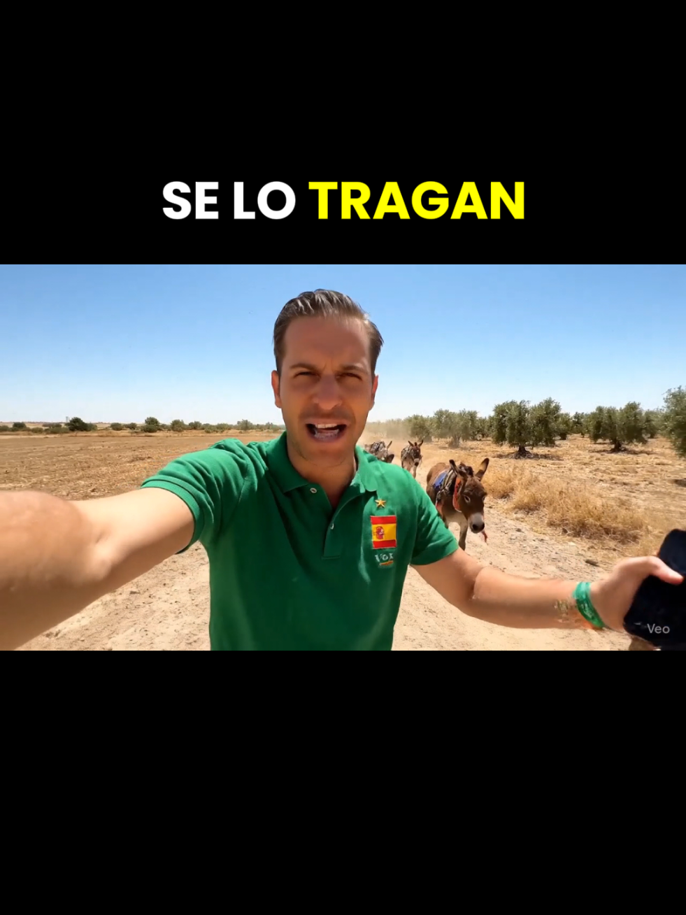 De paseo por el campo con los de Vox #abascal #voxespaña #burros #salariominimo #viralespaña 