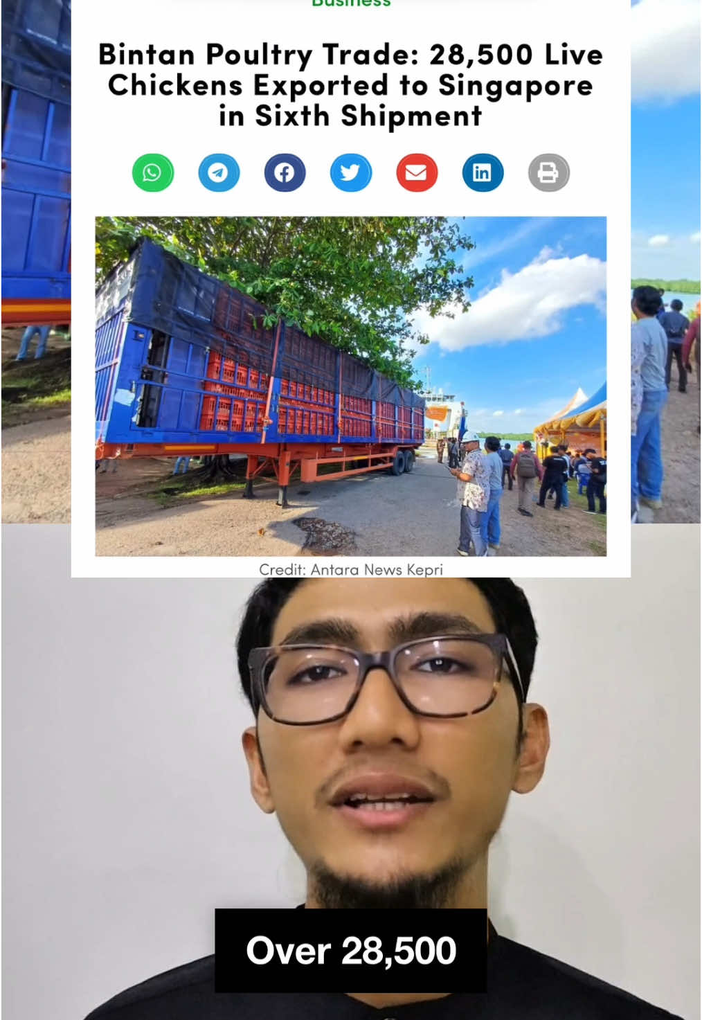 Bintan Poultry Trade: 28,500 Live Chickens Exported to Singapore in Sixth Shipment. On Wednesday night (Aug 27, 2025), PT Indojaya Agrinusa, part of Japfa Group, shipped 28,500 live chickens from Bintan to Singapore through Sri Payung Port in Tanjungpinang. The chickens, transported in six containers aboard the Regent Libra vessel, endured a 10-hour sea journey. #batamtosingapore #bintan #singaporefyp #sgfyp #sgfood #sgtiktok #sgfoodie #singaporenews #sgnews #batamnewsasia #bna #asia #asean 