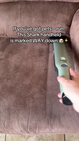 The Handheld vacuum I use everyday!  this handheld vacuum is perfect for pet hair kid crumbs and all the messes that life brings. #SharkHandheldVacuum #HandheldVacuum #PetHairRemoval #DogCare 