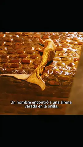#foryou #movie #spain #usa #Oscars2025 #TikTokPartner 