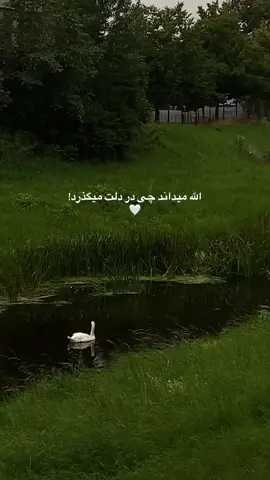🥹🤍                                                                                        #unfreezemyacount #foryoutrik #viralposts #tiktok #fypツ 