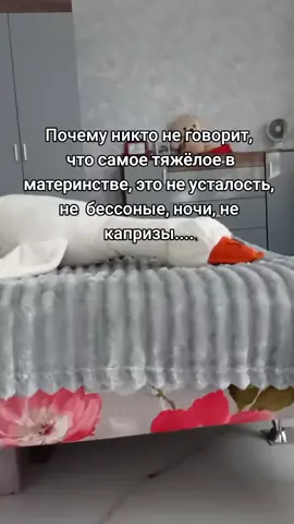 #взрослаяжизнь  #взрослыедети @шицзэ✧ 