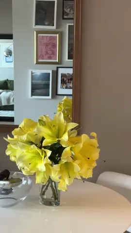 We went to the @South Pearl Street Farmers Market on Sunday and all of my Lilie’s were closed up when I bought them! Each day is a new surprise with their blooms, they’re so beautiful 🥹💛 I’ve always gotten the best flowers at the farmers market, I love!! #farmersmarket #denverfarmersmarket #lilies 