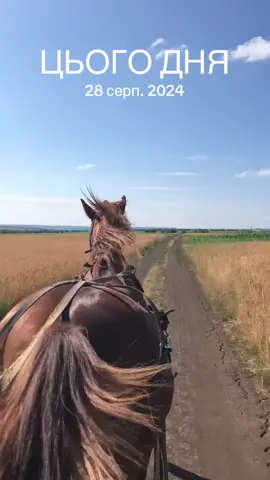 #цьогодня 