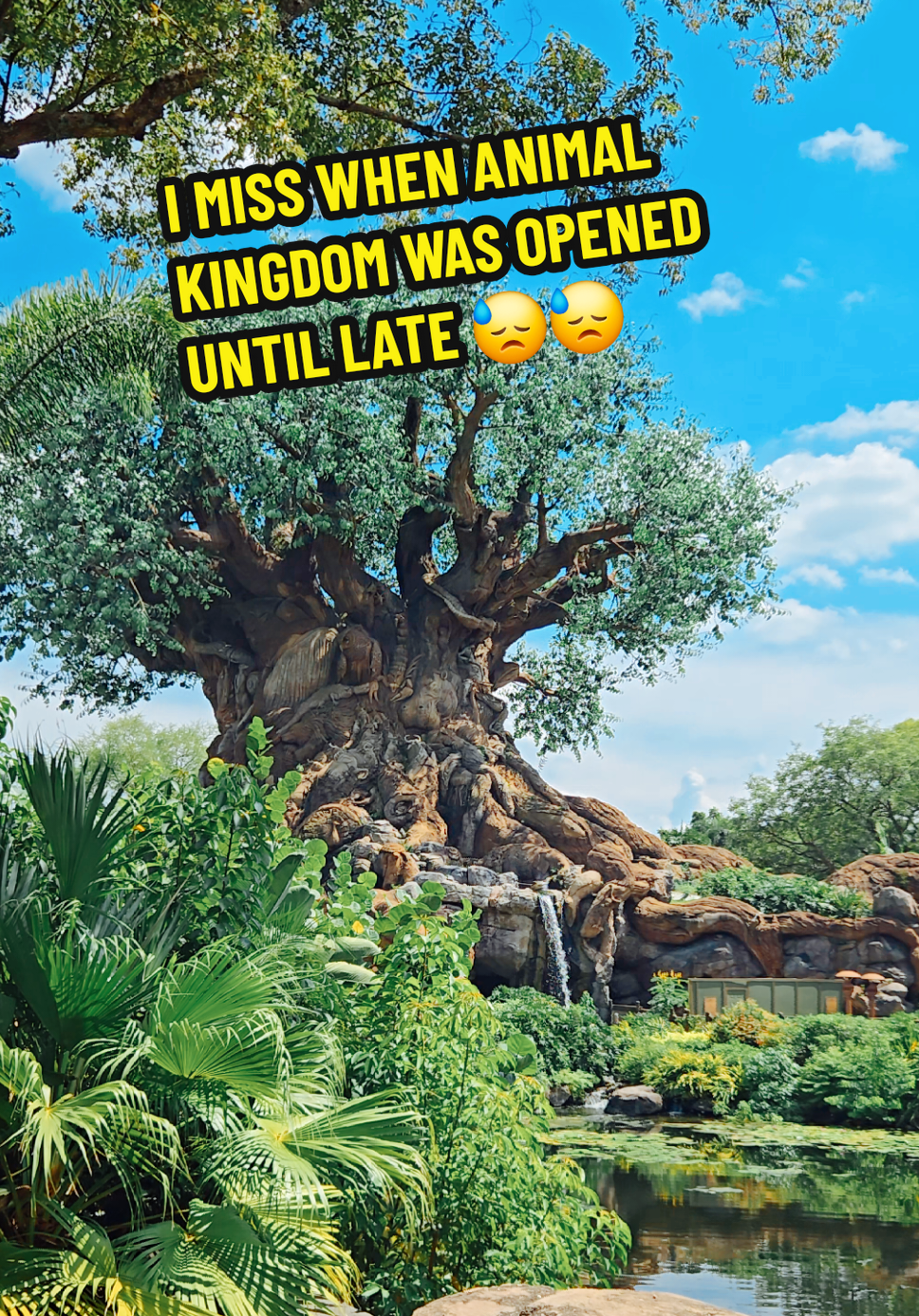 No other disney park comes close to this level of detail and immersion #disney #waltdisneyworld #animalkingdom 