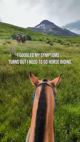 😆And who am I to argue with Google? 😉🐎 #horsesoftiktok #horseriding #equestrian #horse 
