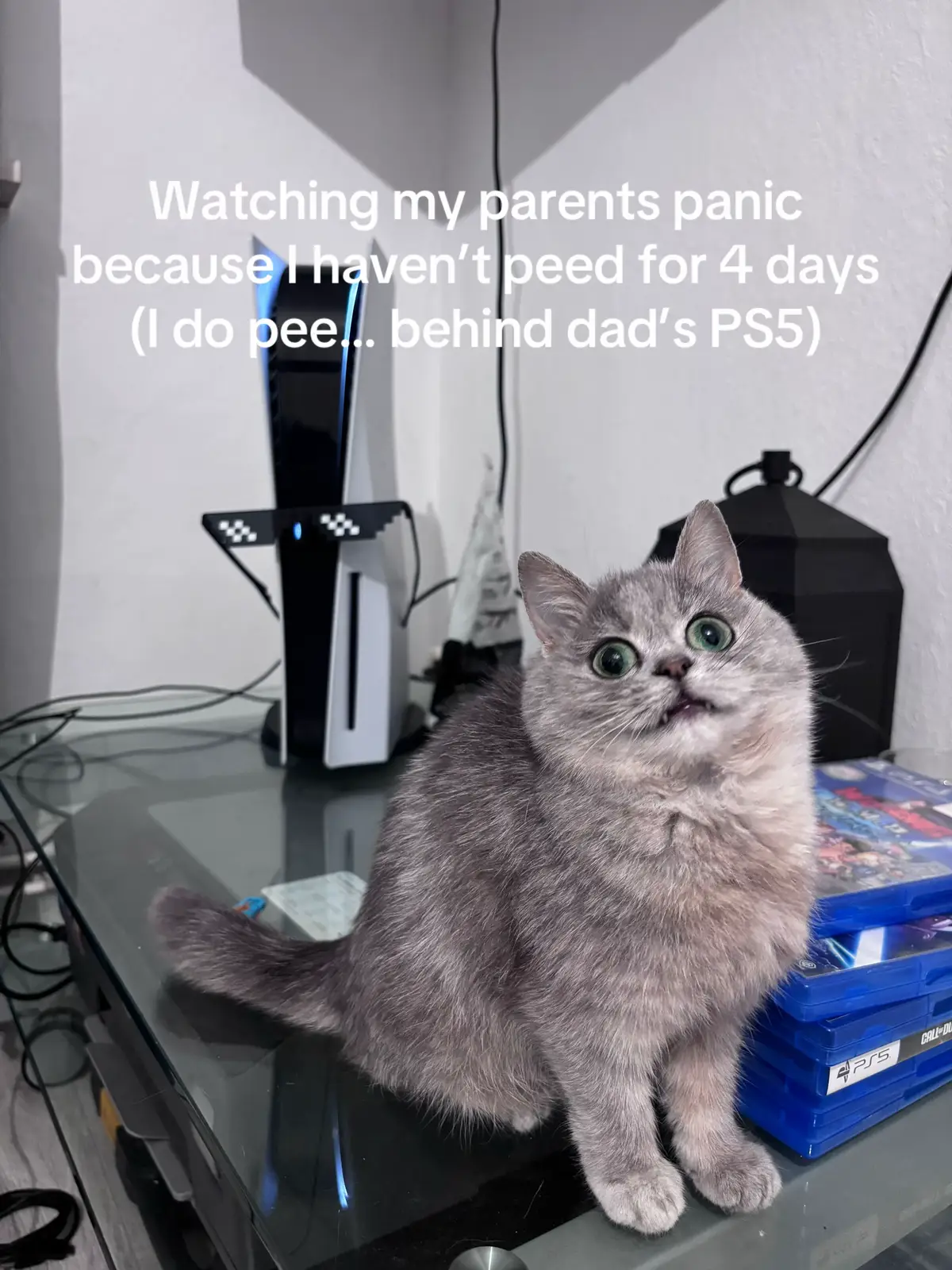 So much better than litter box. 10/10! 