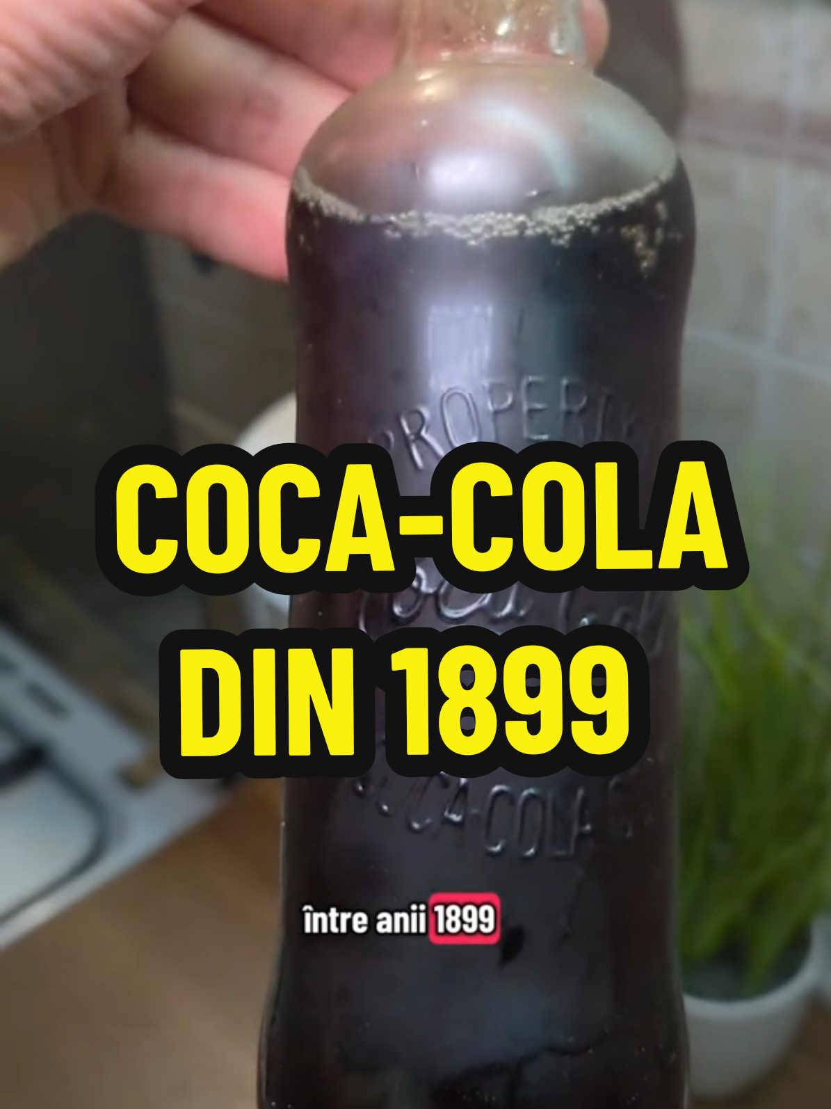 #cocacola #cola #masimtgourmet #munir #gourmet 