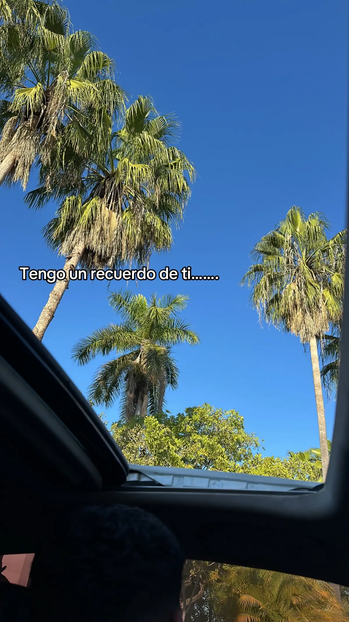 Fotos y recuerdos….