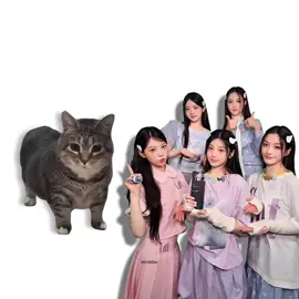ILLIT - DO THE DANCE (BILLYEOON GOYANGI), but it's Oiiai Cat Remix (uiiai) #mashup #remix #cat #illit #dothedance @ILLIT 