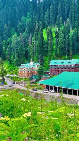 #naturalbeauty of Kashmir #fypシ゚viral🖤tiktok☆♡🦋1millionviewsmyvideo #foryou #100kviews @TiktokPakistanOfficial 