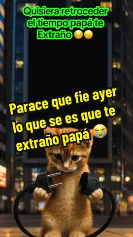 #CapCut #LIVEIncentiveProgram  #creatorsearchinsights #viralvideo #parati 