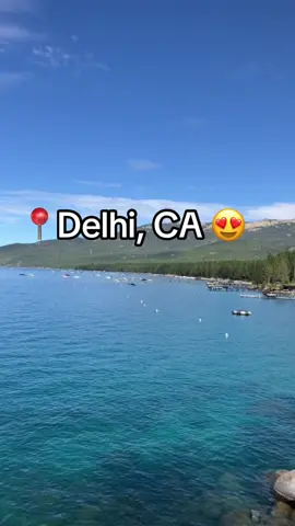 #fly 