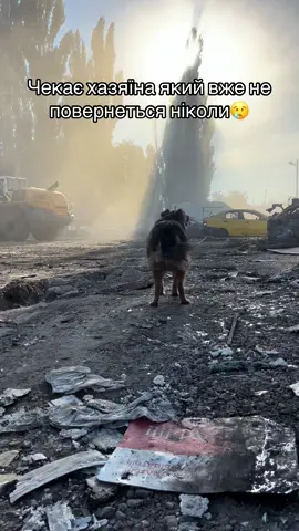 #war #ukraine #kyiv #russiaterroriststate #peaple 
