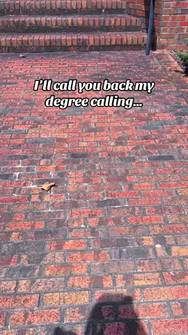 #education #studytok 