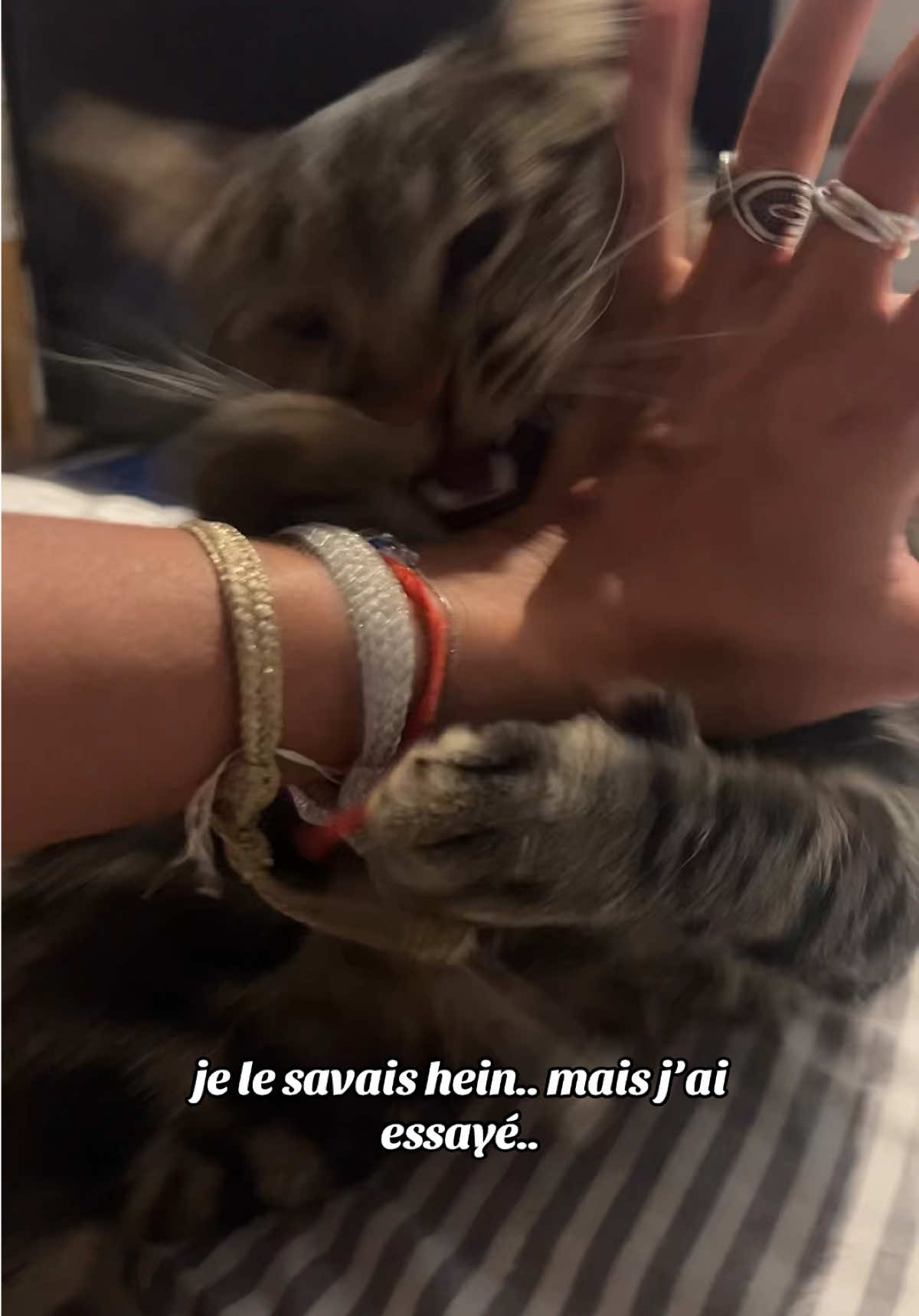 je vous jure des fois il est chou..