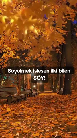#bizturkmen #lebap #dashoguz #turkmen #turkmenistan🇹🇲 