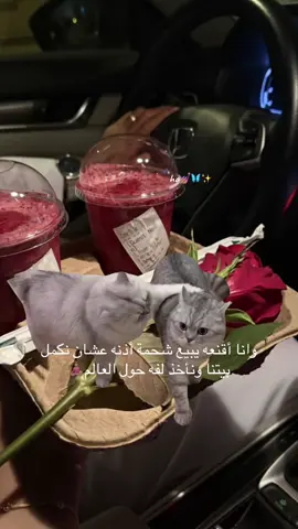 #Meme #MemeCut  #اكسبلورexplore 
