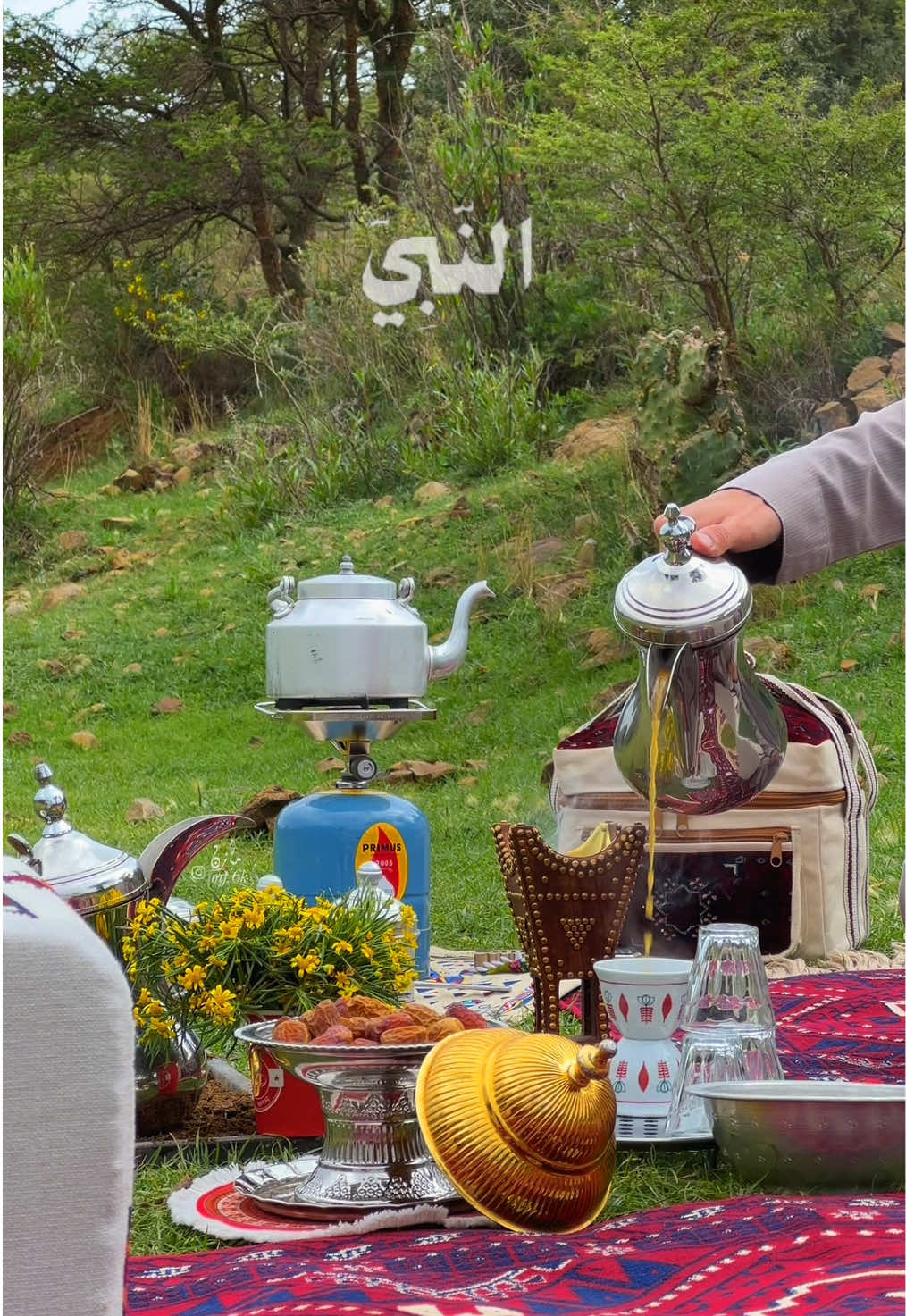 صلوا على الحبيب🤍. الآصفر بالبايو مرحباً بالجميع 💛 #العقيلات#البر #الغضا #الحره #أمطار #كشتات #النفود #اكسبلور #قهوه #طلعه #الطويل_راف_الحصان #شعر_غزل #ربيع_الشمال #تصويري#راف#حلمه#الجوف #تصويري #حايل #سكاكا #طبرجل #الحدود_الشمالية #طريف #ضو #بروق#ترند#تصوير #اكسبلورر 