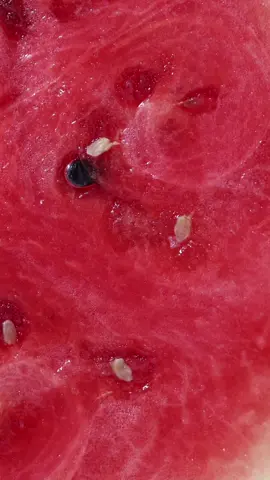 Juicy-sweet-cool-refreshing & summer in a bite, or should we say 'swipe'? 🍉👀 Dropping 9/5! #kulfibeauty #newdrop 