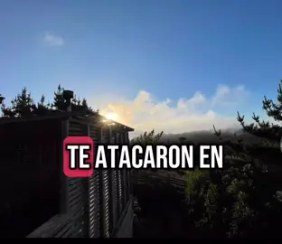 ¿Te atacaron en grupo?  #violenciavicaria #flypシ #paratiiiiiiiiiiiiiiiiiiiiiiiiiiiiiii #paratii #mundo #paravocê #psicologia #mujeres #fly 
