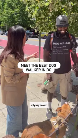 Eun Yang met up with D.C.’s most popular dog walker to learn the secret behind keeping puppies happy. #washingtondc #maryland #virginia #pgcounty #dc #districtofcolumbia #dmv #northernvirginia #alexandriava #northernva #arlingtonva #fairfaxcounty #nova #md #mocomd #pgcountymd #dogwalker