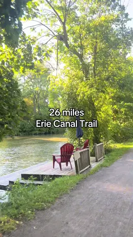 romanticizing my rides in video form 🌻☀️🍃🚴🏽‍♀️ #bike #cycling #biking #foryou #fyp 