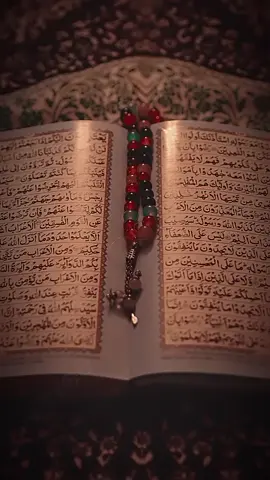 Al Quran #quran #foryoupage❤️❤️ 