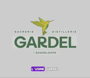 #creatorsearchinsights              #usinegardel#moule.                       #guadeloupe 
