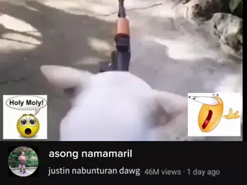 asong namamaril #fyp #foryoupage #filipinomemes #filipinomoments #asongmaybaril 
