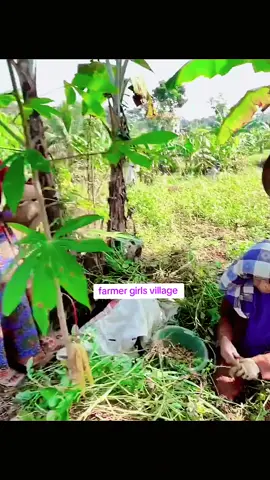 Indonesian village beautiful girl #Muslim #girl #lndonesia #village #view           