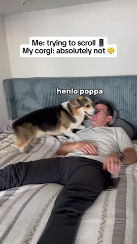Snuggles > scrolls 🥰
