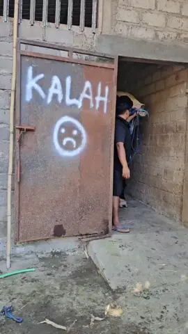 Sapinya tinggi banget