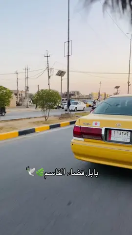 🌿🕊️ً#علاوي #القاسم_مدينتي  #بابل_الحله #القاسم_ابن_الكاظم #الشعب_الصيني_ماله_حل😂😂 