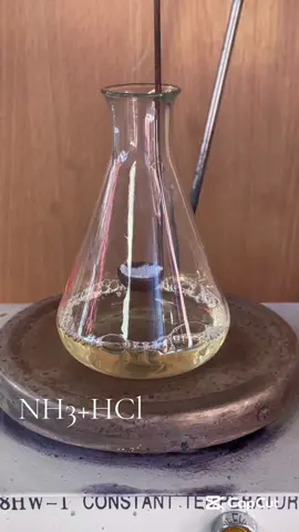 🥼🧪HCl reacționează cu NH3 atat prin intermediu gazos cât și fizic. Ambele tipuri de reacții sunt foarte fascinante🫢#chemistry #labexperiments 