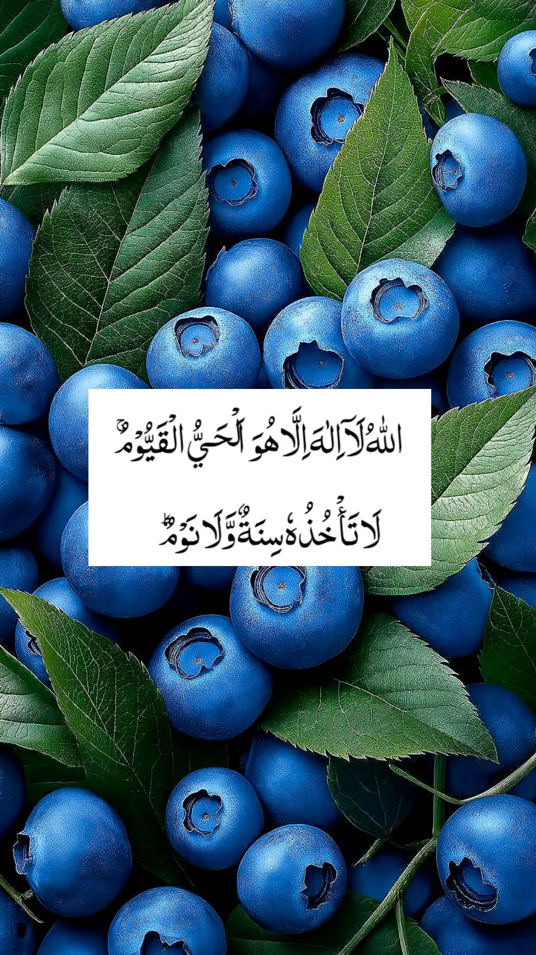 خدا اور اس کے فرشتے آپ ﷺ پر درود بھیجتے ہیں۔ اے 💯! ايمان والو 🖤.!! تم بھی ان  ﷺ پر درود و سلام بھیجو۔👇 اللَّهُمَّ صَلَّ عَلَى مُحَمَّدٍ وَ عَلَى آلِ مُحَمَّدٍ كَمَا صَلَّيْتَ عَلَى إِبْرَاهِيمَ وَعَلَى آلِ إِبْرَاهِيمَ إِنَّكَ حَمِيدٌ مَجِيدٌ .❤️ اللَّهُمَّ بَارِكْ عَلَى مُحَمَّدٍ وَ عَلَى آلِ مُحَمَّدٍ كَمَا بَارَكْتَ عَلَى إِبْرَاهِيمَ وَعَلَى آلِ إِبْرَاهِيمَ إِنَّكَ حَمِيدٌ  مَجِيدٌ ❤️ TIKTOK I'D👇👇👇👇 amirkhan..719   Islamic videos  #islamabadbeautyofpakistan #Islamabad #islamicrepublicofpakistan #Pakistan #beautifuldestinations 