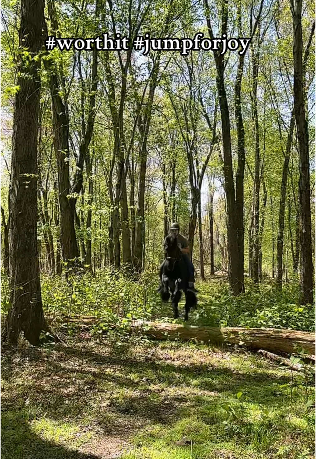 Just a boy and his Friesian casually jumping in the forest #friesianhorse #jumpforjoy #kidsandhorses #dreamlife 