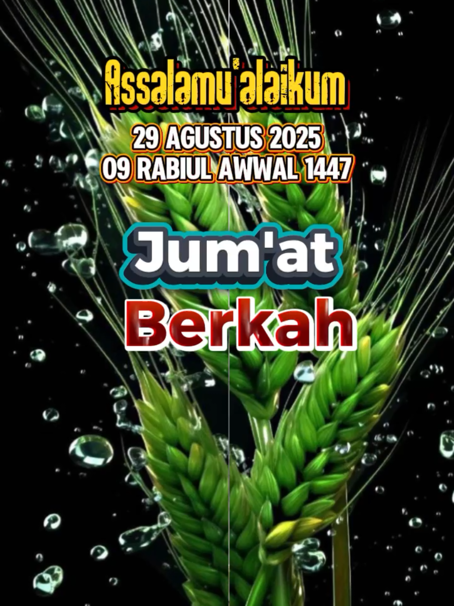#CapCut #assalamualaikum #doahariini #foryourpage #statuswhatsapp #fypシ゚ #fyyyyyyyyyyyyyyyyyyy 