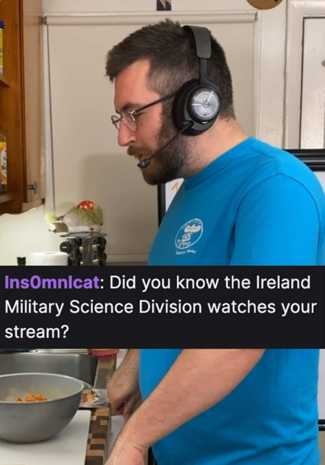 THE IRISH GOVERNMENT WATCHES MY STREAM?! 😱🤣 #barleytheburr #furry #twitch #bear #funny 